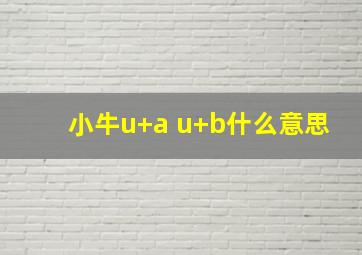 小牛u+a u+b什么意思